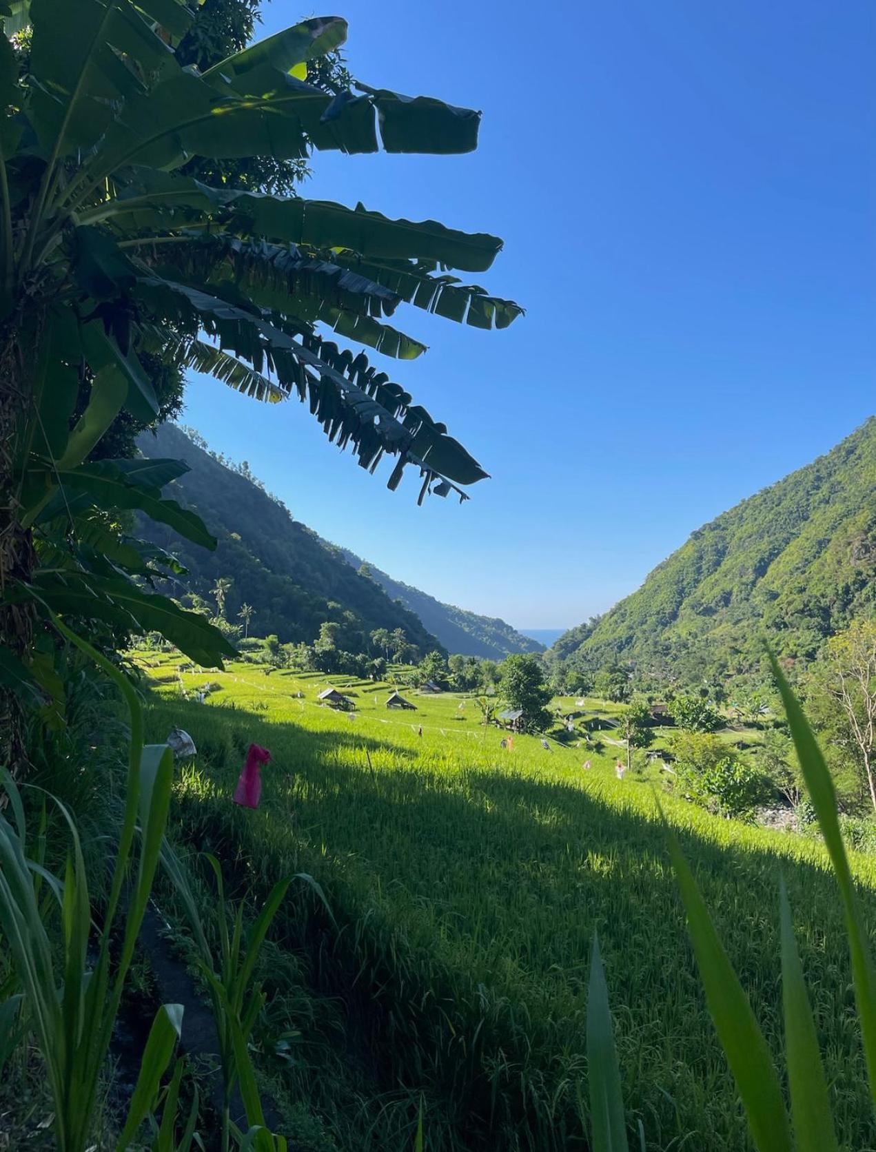 Вилла Tropical Habitat Bali Амед Экстерьер фото
