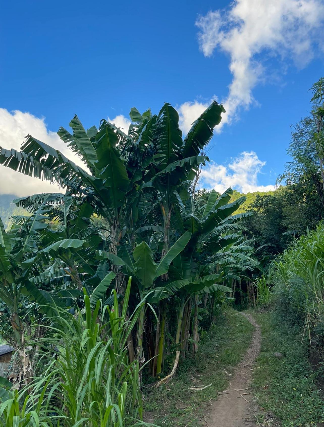 Вилла Tropical Habitat Bali Амед Экстерьер фото