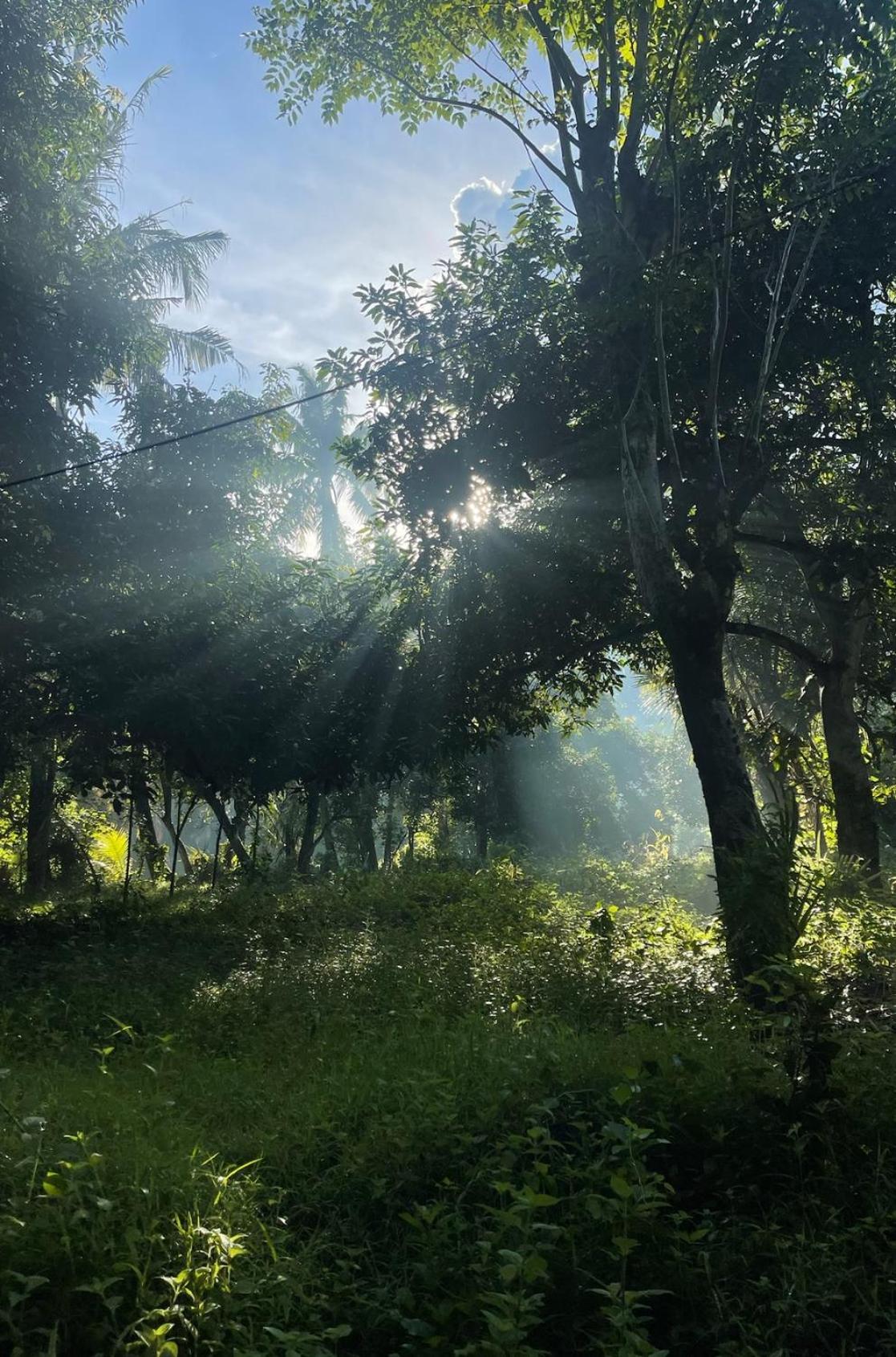 Вилла Tropical Habitat Bali Амед Экстерьер фото