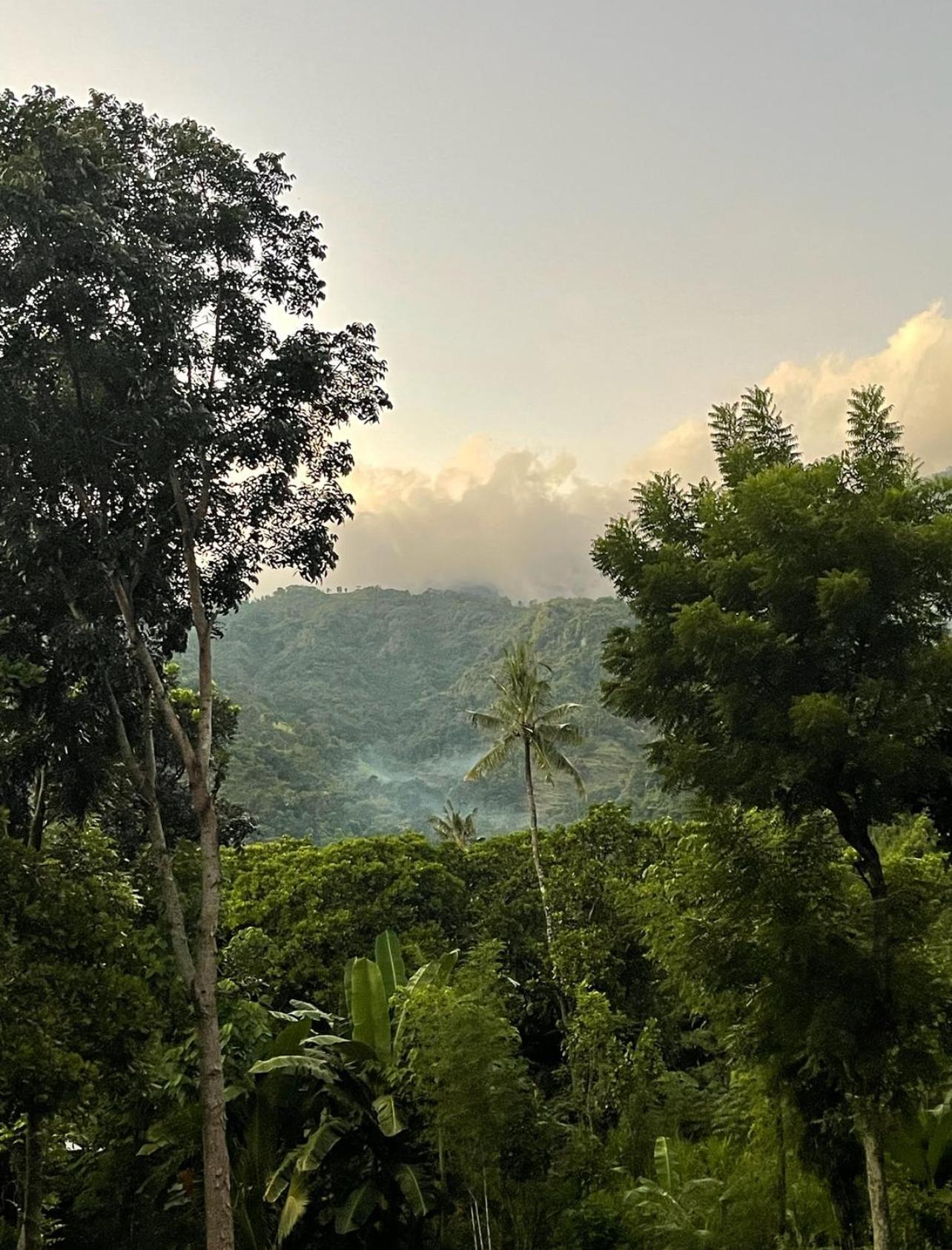 Вилла Tropical Habitat Bali Амед Экстерьер фото