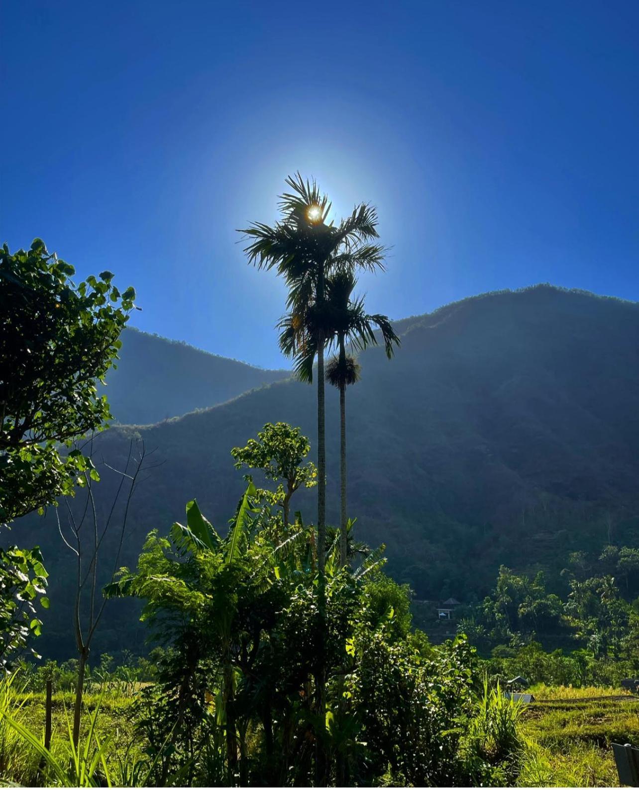 Вилла Tropical Habitat Bali Амед Экстерьер фото