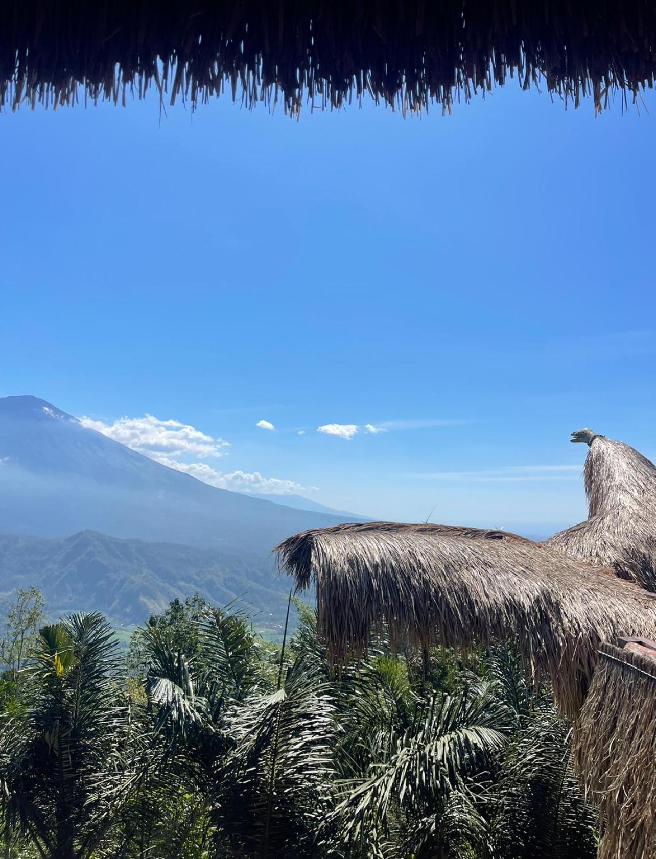 Вилла Tropical Habitat Bali Амед Экстерьер фото