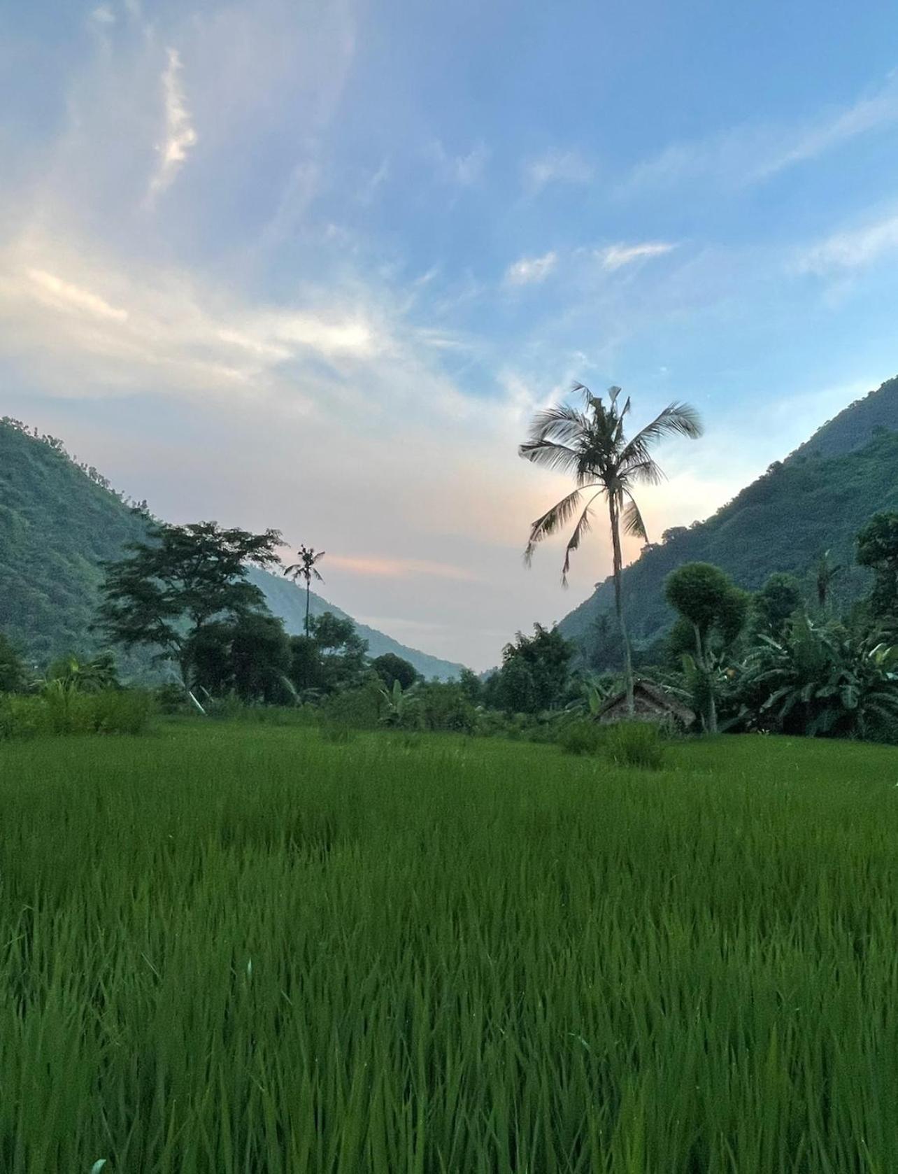 Вилла Tropical Habitat Bali Амед Экстерьер фото